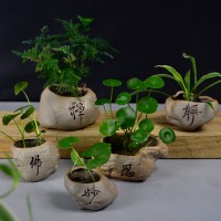 粗陶素烧仿石头写字水培小花盆