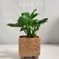 粗陶花盆-方形