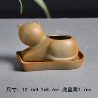 小猫带托盘