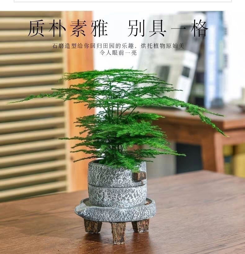 仿复古怀旧水泥石磨花盆_创意多肉文竹盆仿复古怀旧水泥石磨花盆家居艺术摆件